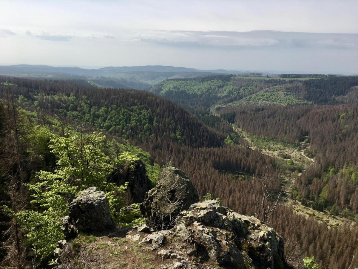 Bergwelt Braunlage Apartment Екстериор снимка