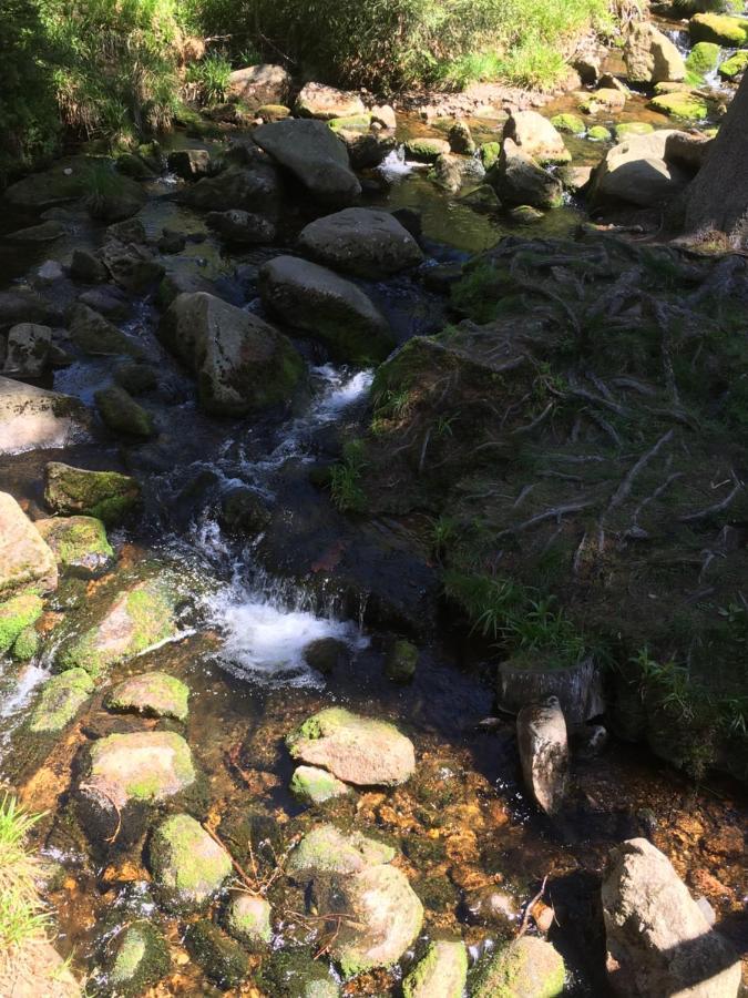 Bergwelt Braunlage Apartment Екстериор снимка